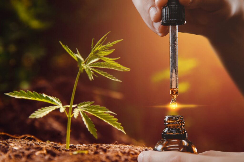 The Difference Between CBG Oil and CBD Oil