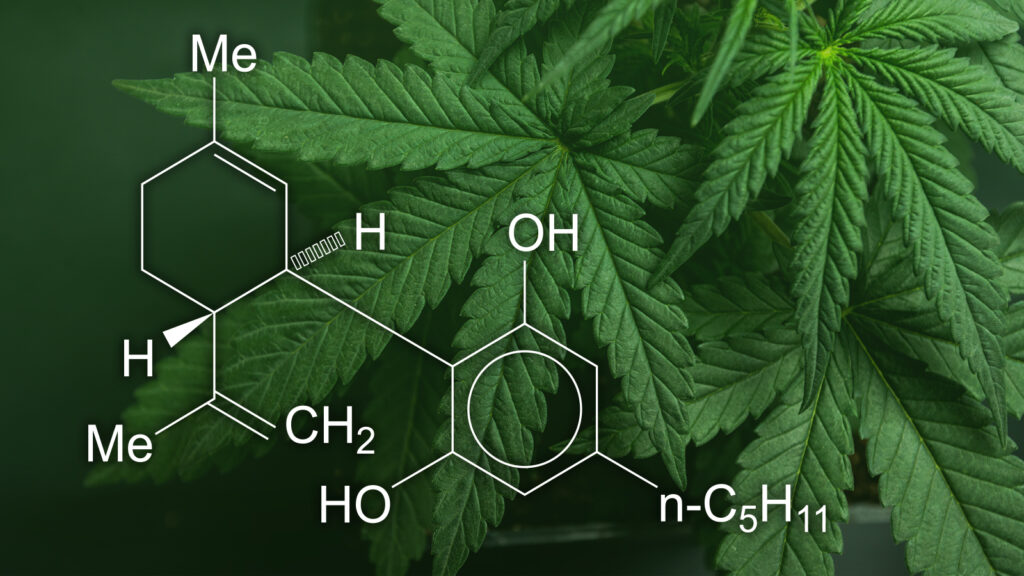 The Difference Between CBDa and CBD